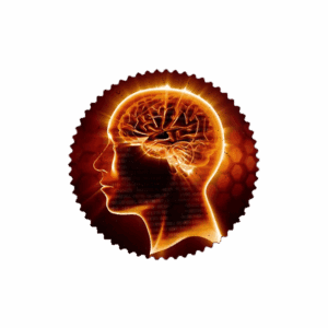 Ingénierie intérieur Jonathan caudrelier