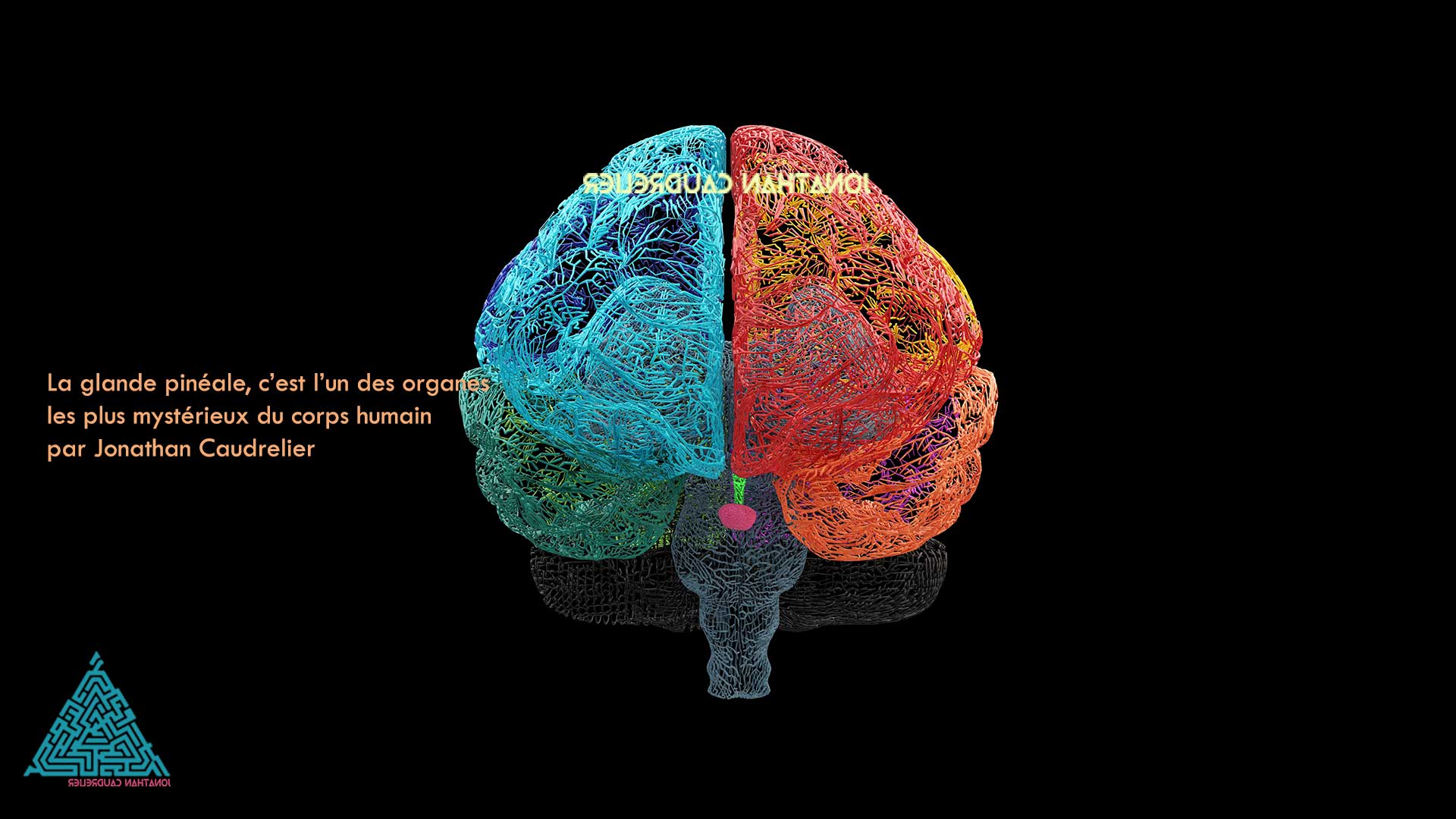 La glande pinéale, c’est l’un des organes les plus mystérieux du corps humain par Jonathan Caudrelier